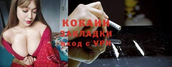 твердый Абаза