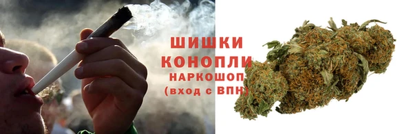 молекула духа Дмитров