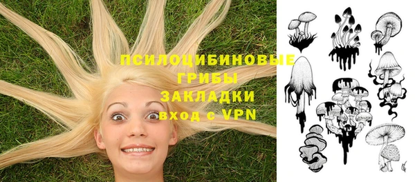 твердый Абаза