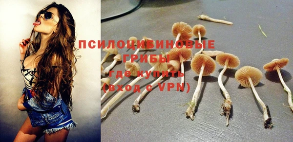твердый Абаза